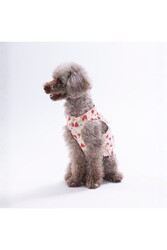 Pawstar Berry Crush Meyve Desenli Kedi Köpek Gömleği-Kedi Köpek Kıyafeti-Kedi Gömlek-Köpek Gömlek L - Thumbnail