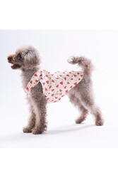 Pawstar Berry Crush Meyve Desenli Kedi Köpek Gömleği-Kedi Köpek Kıyafeti-Kedi Gömlek-Köpek Gömlek M - Thumbnail