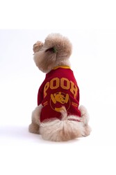 Pawstar Bordo Pooh Honey Köpek Sweatshirt Köpek Sweat Köpek Kıyafeti Kedi Kıyafeti L - Thumbnail