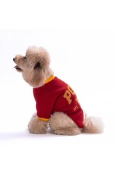 Pawstar Bordo Pooh Honey Köpek Sweatshirt Köpek Sweat Köpek Kıyafeti Kedi Kıyafeti L - Thumbnail