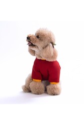 Pawstar Bordo Pooh Honey Köpek Sweatshirt Köpek Sweat Köpek Kıyafeti Kedi Kıyafeti L - Thumbnail