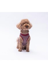 Pawstar Bordo Space Time Kedi Köpek Tişörtü - Kedi Köpek Kıyafeti XL - Thumbnail