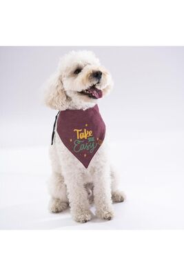 Pawstar - Pawstar Burgundy Take It Easy Kedi Köpek Fuları Pet Bandanası 3
