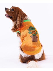 Pawstar Cactus Mesh Kedi Köpek Tişörtü - Kedi Köpek Kıyafeti Medium - Thumbnail
