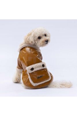 Pawstar - Pawstar Camel Vegas Ceket Kedi Köpek Ceketi Kedi Köpek Kıyafeti Kedi Köpek Elbisesi M