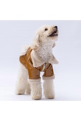 Pawstar Camel Vegas Ceket Kedi Köpek Ceketi Kedi Köpek Kıyafeti Kedi Köpek Elbisesi M - Thumbnail
