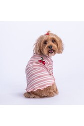 Pawstar Ciliegia Köpek Sweati Köpek Kıyafeti Kedi Kıyafeti XL - Thumbnail