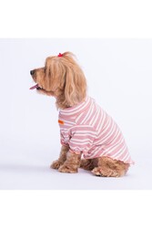 Pawstar Ciliegia Köpek Sweati Köpek Kıyafeti Kedi Kıyafeti XL - Thumbnail