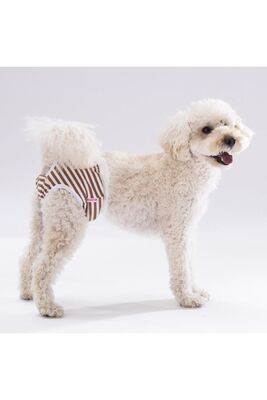 Pawstar - Pawstar Çizgili Kedi-köpek Çamaşırı Regl Kilodu (3'LÜ PAKET)