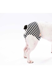 Pawstar Çizgili Kedi-köpek Çamaşırı Regl Kilodu (3'LÜ PAKET) - Thumbnail