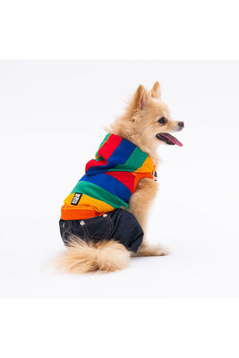Pawstar - Pawstar Colored Lines Köpek Tulumu Köpek Kıyafeti XL Kedi Kıyafeti