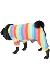 Pawstar Colorfit Rompers Renkli Kedi Köpek Penye Pijama Tulum Small - Thumbnail