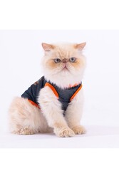 Pawstar Cool Dude Mesh Kedi Köpek Tişörtü - Kedi Köpek Kıyafeti Small - Thumbnail