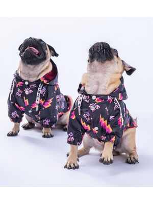 Pawstar - Pawstar Cool Polarlı Köpek Montu Köpek Yağmurluk Köpek Kıyafeti Köpek Elbisesi XL