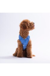 Pawstar Cozie Bear Denim Ayıcık Desenli Kot Kedi Köpek Gömleği-Kedi Köpek Kıyafeti-Kedi Gömlek-Köpek Gömlek 2XL - Thumbnail