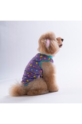 Pawstar Cream Kedi Köpek T-Shirt L - Thumbnail