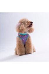 Pawstar Cream Kedi Köpek T-Shirt L - Thumbnail
