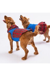 Pawstar Denim & Plaid Kedi Köpek Elbisesi - Kedi Köpek Kıyafeti M - Thumbnail