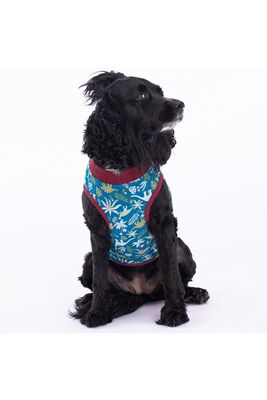 Pawstar - Pawstar Dino Kedi Köpek Tişörtü - Kedi Köpek Kıyafeti Large 