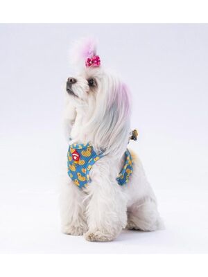 Pawstar - Pawstar Ducks Air-mesh Göğüs Tasması Kedi Köpek Göğüs Tasması 3XL