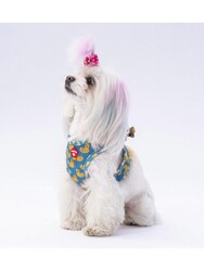Pawstar Ducks Air-mesh Göğüs Tasması Kedi Köpek Göğüs Tasması XL - Thumbnail