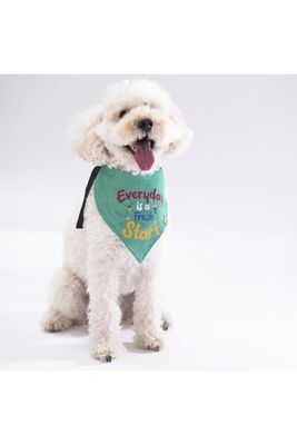 Pawstar - Pawstar Everyday Kedi Köpek Fuları Pet Bandanası 3