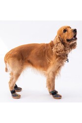 Pawstar Ferrara Desenli Köpek Ayakkabısı-Köpek Patiği - Thumbnail