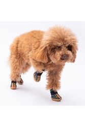 Pawstar Ferrara Desenli Köpek Ayakkabısı-Köpek Patiği - Thumbnail