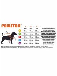 Pawstar Ferrara Köpek Tulum Yağmurluğu Köpek Yağmurluk Köpek Kıyafeti Köpek Elbisesi L - Thumbnail