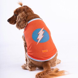 Pawstar Flash Mesh Kedi Köpek Tişörtü - Kedi Köpek Kıyafeti Large - Thumbnail