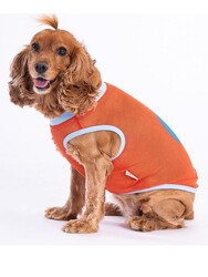 Pawstar Flash Mesh Kedi Köpek Tişörtü - Kedi Köpek Kıyafeti Small - Thumbnail
