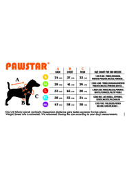 Pawstar Flash Mesh Kedi Köpek Tişörtü - Kedi Köpek Kıyafeti XLarge - Thumbnail