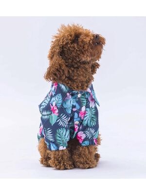 Pawstar - Pawstar Floral Kedi Köpek Gömleği - Kedi Köpek Kıyafeti M