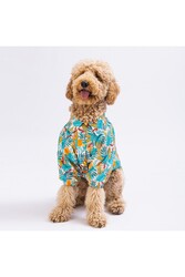 Pawstar Folia Büyük Köpek Gömleği - Köpek Kıyafeti (15 KG-45 KG) 5XLarge - Thumbnail