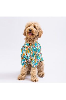 Pawstar - Pawstar Folia Büyük Köpek Gömleği - Köpek Kıyafeti (15 KG-45 KG) 5XLarge