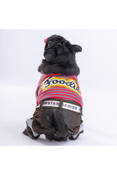Pawstar Foodie Köpek Tulumu Köpek Kıyafeti Kedi Kıyafeti XL - Thumbnail