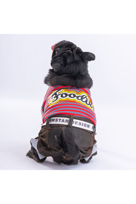 Pawstar - Pawstar Foodie Köpek Tulumu Köpek Kıyafeti Kedi Kıyafeti XL