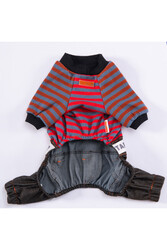 Pawstar Foodie Köpek Tulumu Köpek Kıyafeti Kedi Kıyafeti XL - Thumbnail