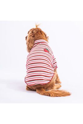 Pawstar - Pawstar Fragola Köpek Sweati Köpek Kıyafeti Kedi Kıyafeti XL