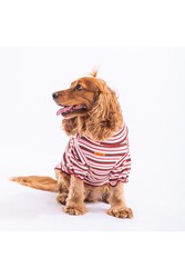Pawstar Fragola Köpek Sweati Köpek Kıyafeti Kedi Kıyafeti XL - Thumbnail