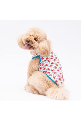 Pawstar - Pawstar Fun Crabs Kedi Köpek Tişörtü - Kedi Köpek Kıyafeti XL