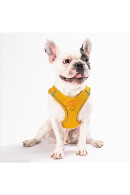 Pawstar - Pawstar Gold Air-mesh Göğüs Tasması Kedi Köpek Göğüs Tasması 2XS