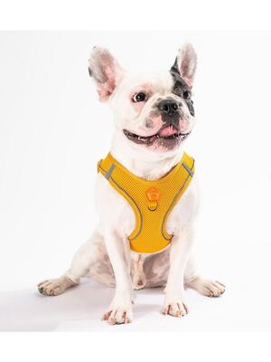 Pawstar - Pawstar Gold Air-mesh Göğüs Tasması Kedi Köpek Göğüs Tasması L