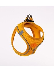 Pawstar Gold Air-mesh Göğüs Tasması Kedi Köpek Göğüs Tasması XL - Thumbnail