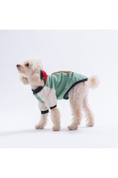 Pawstar Green-Yeşil Baby Teddy Sweat Kedi Köpek Sweati - Kedi Köpek Kıyafeti 2XL - Thumbnail