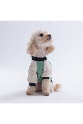 Pawstar Green-Yeşil Baby Teddy Sweat Kedi Köpek Sweati - Kedi Köpek Kıyafeti L - Thumbnail