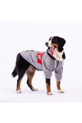 Pawstar Gri Angry Dog Orta ve Büyük Irk İçin Köpek Ceketi Köpek Sweati Köpek Elbisesi Köpek Kıyafeti - 3XL - Thumbnail