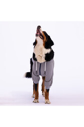 Pawstar Gri Angry Dog Orta ve Büyük Irk İçin Köpek Ceketi Köpek Sweati Köpek Elbisesi Köpek Kıyafeti - 5XL - Thumbnail