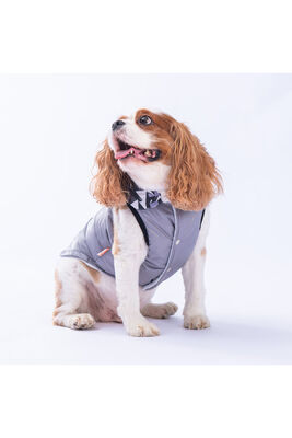 Pawstar - Pawstar Gri Diametro Puf Yelek Köpek Yeleği Köpek Kıyafeti Köpek Yağmurluk L