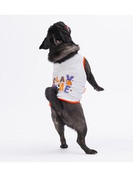 Pawstar Gri Sporty Kedi Köpek Tişörtü - Kedi Köpek Kıyafeti L - Thumbnail